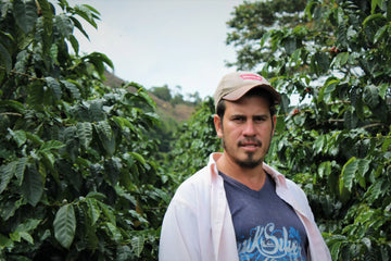 Discovering exceptional single origin coffee: The story behind our Honduras SL-28 coffee beans