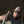 Load image into Gallery viewer, Willie Trucker Cap