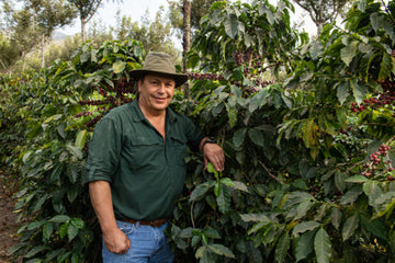 New Release - Santa Clara, Guatemala