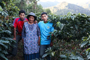 New Release - Bolivia Carmelita Coco Natural