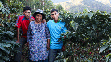 New Release - Bolivia Carmelita Coco Natural
