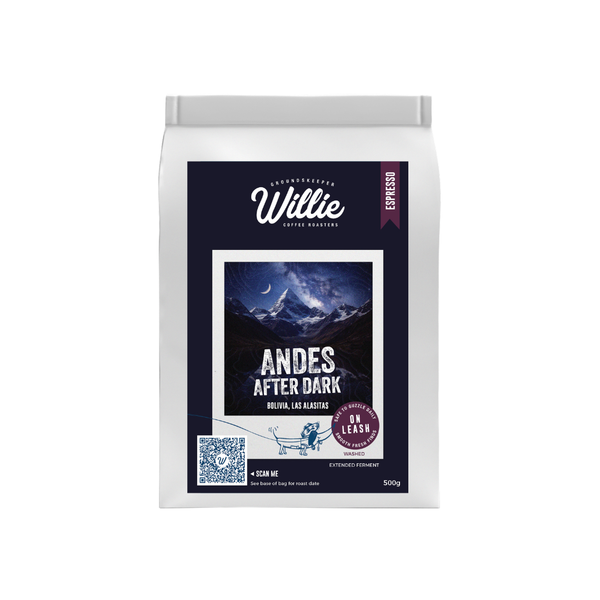 Bolivia - Andes After Dark