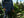 Costa Rica - Aguilera Brothers