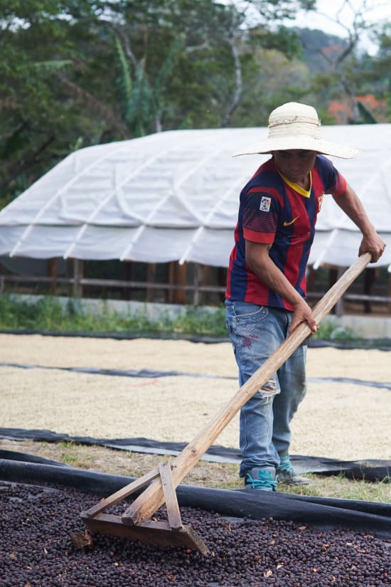 Honduras - Tropical Mutiny