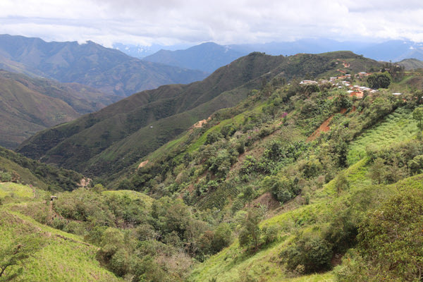 Peru - Cruz del Norte