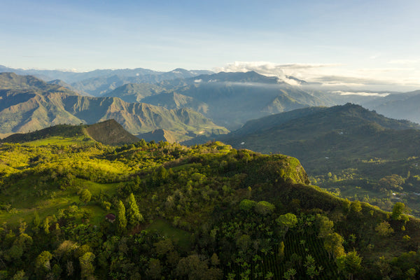 Colombia - Los Nogales