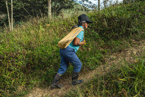 Colombia - Los Nogales