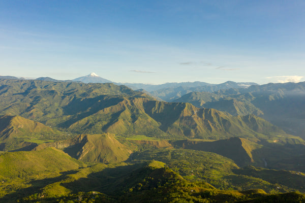 Colombia - Los Nogales