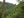 Colombia - Los Nogales