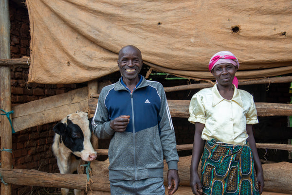 Rwanda - Sunlit Rebellion