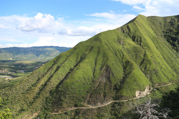 Colombia - Even Kiel