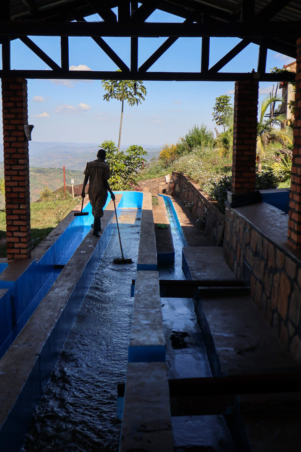 Rwanda - Sunlit Rebellion