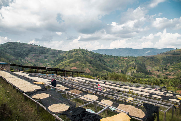 Rwanda - Sunlit Rebellion