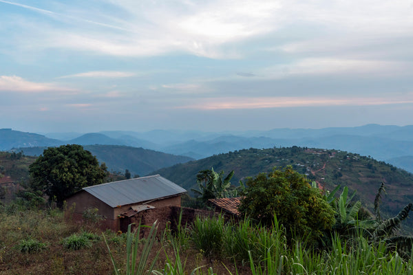 Rwanda - Sunlit Rebellion